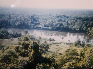 Dchungellandschaft in Papa-Neuguinea